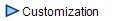  Customization