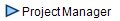  Project Manager