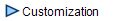  Customization